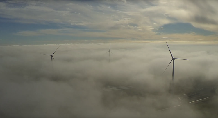 Misty Windmills 