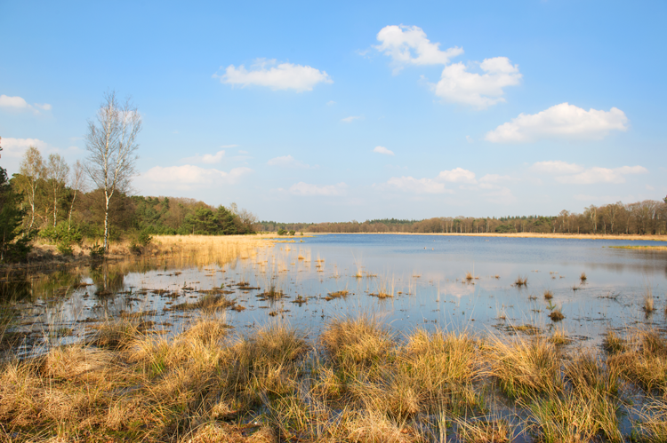 Leersumse plassen gefilmd door drone.