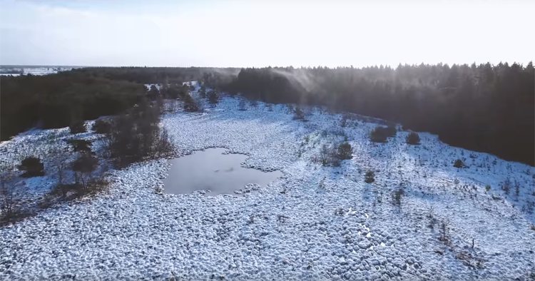 Winterse dronebeelden van Boswachterij Staphorst