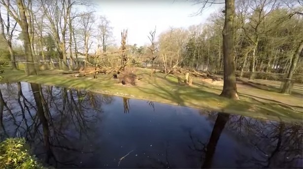 burgers-zoo-apen-chimpansee-drone-aanval