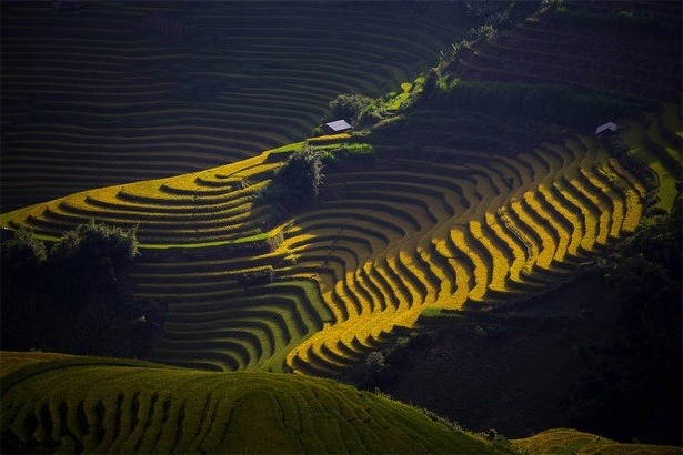 national-geographic-photo-contest-2015-surawut-sudha